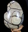 Septarian Dragon Egg Geode - Crystal Filled #73779-3